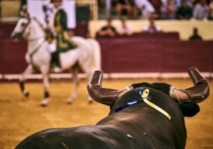 Corrida 24 Agosto 2018 (2)