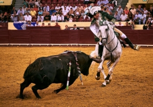 Corrida 24 Agosto 2018 (5)