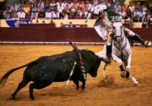 Corrida 24 Agosto 2018 (6)