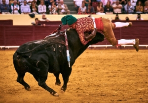 Corrida 24 Agosto 2018 (8)