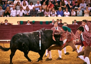 Corrida 24 Agosto 2018 (10)