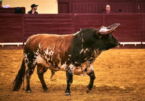 Corrida 24 Agosto 2018 (18)