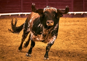 Corrida 24 Agosto 2018 (19)