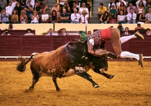 Corrida 24 Agosto 2018 (24)