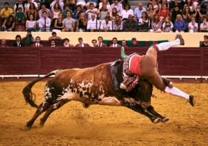 Corrida 24 Agosto 2018 (25)