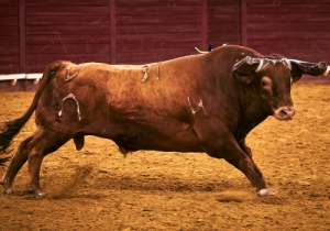 Corrida 24 Agosto 2018 (26)