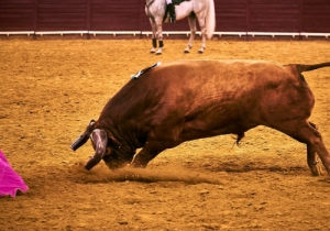 Corrida 24 Agosto 2018 (27)