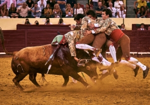 Corrida 24 Agosto 2018 (34)