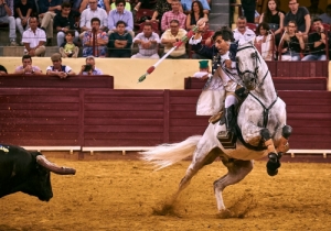 Corrida 24 Agosto 2018 (37)