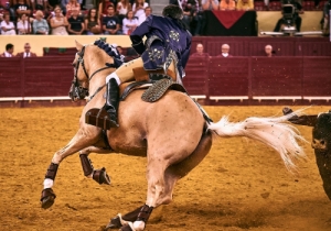 Corrida 24 Agosto 2018 (41)