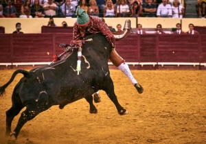 Corrida 24 Agosto 2018 (46)