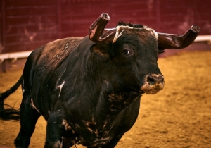 Corrida 24 Agosto 2018 (49)