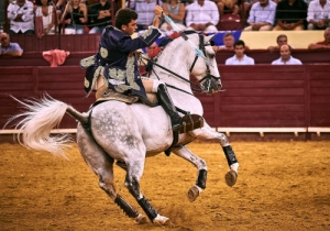 Corrida 24 Agosto 2018 (51)