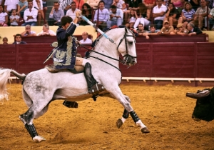 Corrida 24 Agosto 2018 (55)