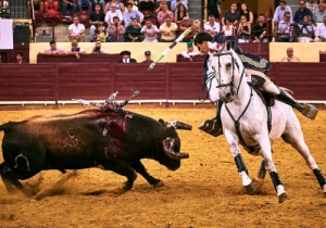 Corrida 24 Agosto 2018 (58)