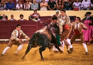 Corrida 24 Agosto 2018 (63)