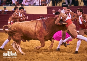 CORRIDA 6 SET 2018 (10)