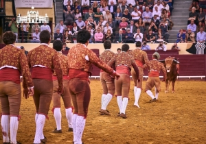 CORRIDA 6 SET 2018 (11)