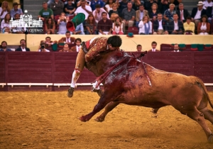 CORRIDA 6 SET 2018 (69)