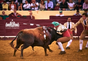 CORRIDA 6 SET 2018 (79)