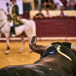 20180824 CPQ CORRIDA.FH0009 NL