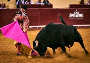 DESPEDIDA DE PADILLA DA AFICION PORTUGUESA 20-09-2018 (24)