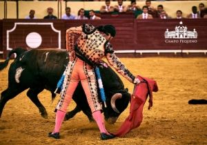 DESPEDIDA DE PADILLA DA AFICION PORTUGUESA 20-09-2018 (57)