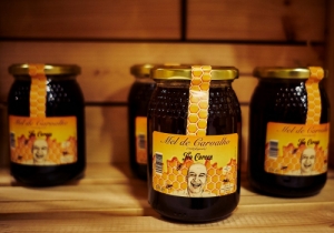 MERCADO DE VINHOS 2018