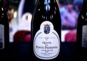 MERCADO DE VINHOS 2018
