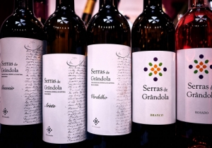 MERCADO DE VINHOS 2018