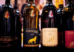 MERCADO DE VINHOS 2018