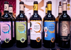 MERCADO DE VINHOS 2018
