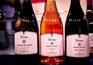 MERCADO DE VINHOS 2018