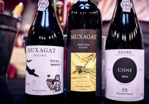MERCADO DE VINHOS 2018