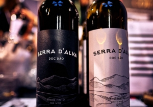MERCADO DE VINHOS 2018