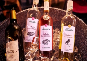 MERCADO DE VINHOS 2018