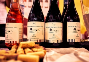 MERCADO DE VINHOS 2018