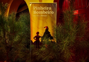 20181201 MERCADO DE NATAL0017