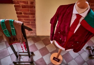 DIA DE TAUROMAQUIA | FESTIVAL TAURINO 2019