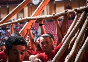 DIA DE TAUROMAQUIA | FESTIVAL TAURINO 2019