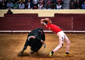 DIA DE TAUROMAQUIA | FESTIVAL TAURINO 2019