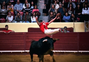 DIA DE TAUROMAQUIA | FESTIVAL TAURINO 2019