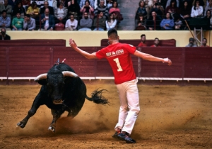 DIA DE TAUROMAQUIA | FESTIVAL TAURINO 2019