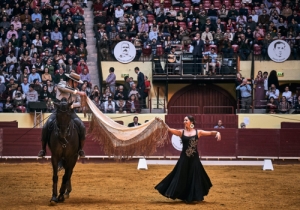 DIA DE TAUROMAQUIA | FESTIVAL TAURINO 2019