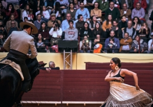 DIA DE TAUROMAQUIA | FESTIVAL TAURINO 2019