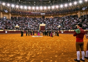 DIA DA TAUROMAQUIA | FESTIVAL TAURINO 2019