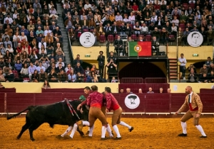 DIA DA TAUROMAQUIA | FESTIVAL TAURINO 2019