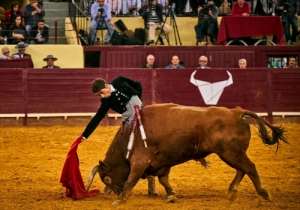 DIA DA TAUROMAQUIA | FESTIVAL TAURINO 2019