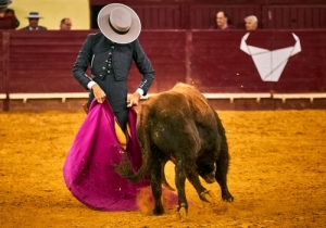 DIA DA TAUROMAQUIA | FESTIVAL TAURINO 2019