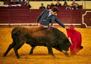 DIA DA TAUROMAQUIA | FESTIVAL TAURINO 2019